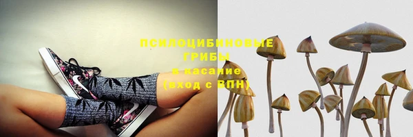 МДПВ Кинешма