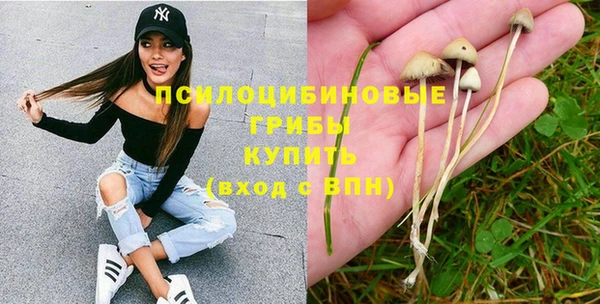 МДПВ Кинешма