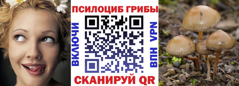 Псилоцибиновые грибы прущие грибы  Купить закладки  Костерёво 
